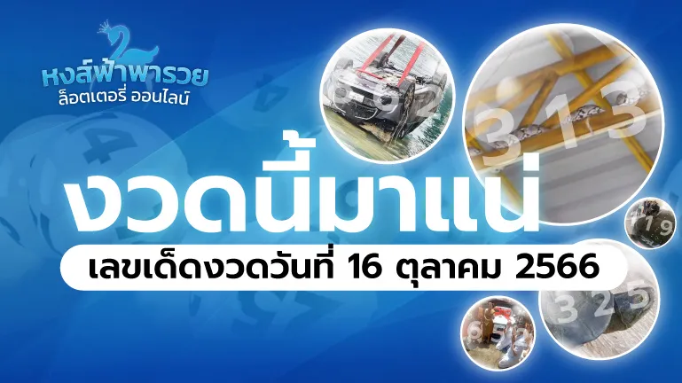 เลขเด็ดม้าสีหมอกงวด 16 ตุลาคม 2569 เลขเด่น 2-5 ยังเหนียวต่อเนื่องงวดที่แล้ว